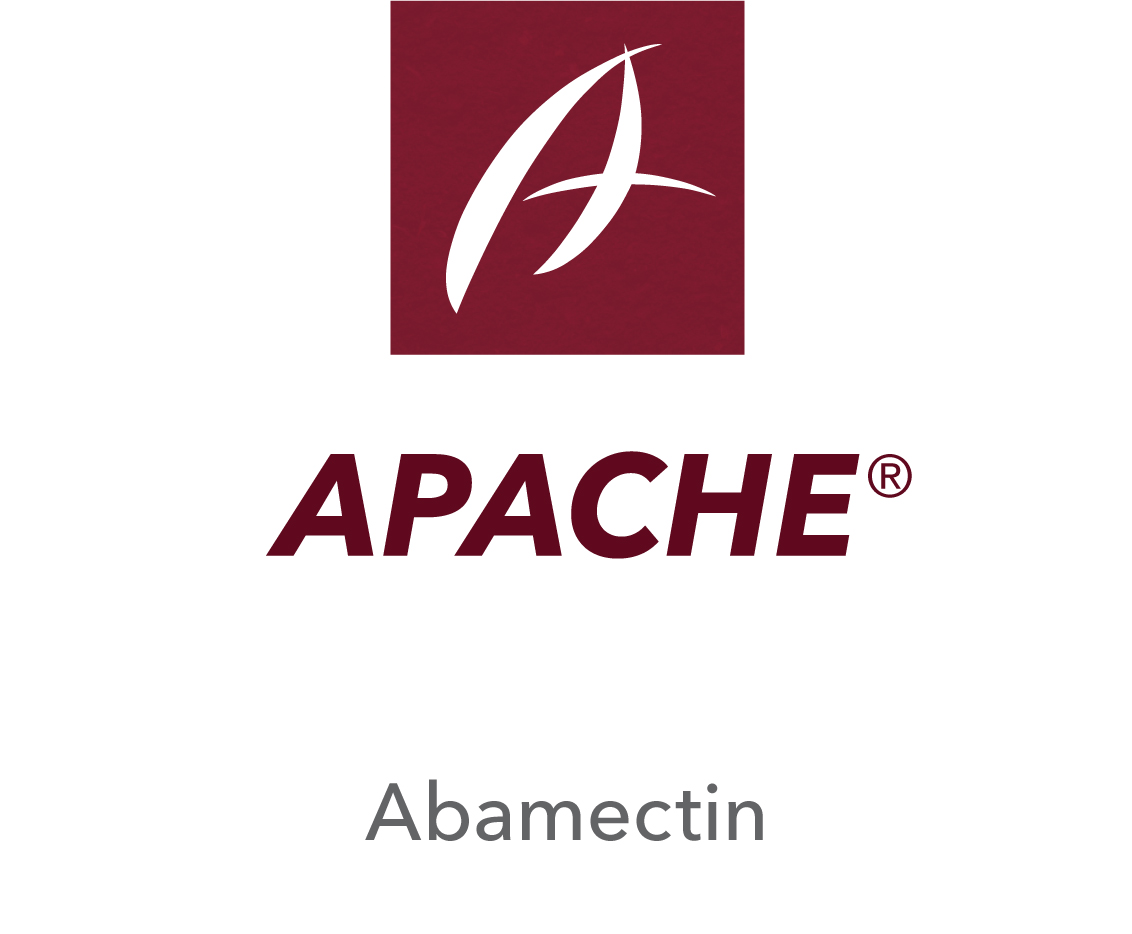 Apache®