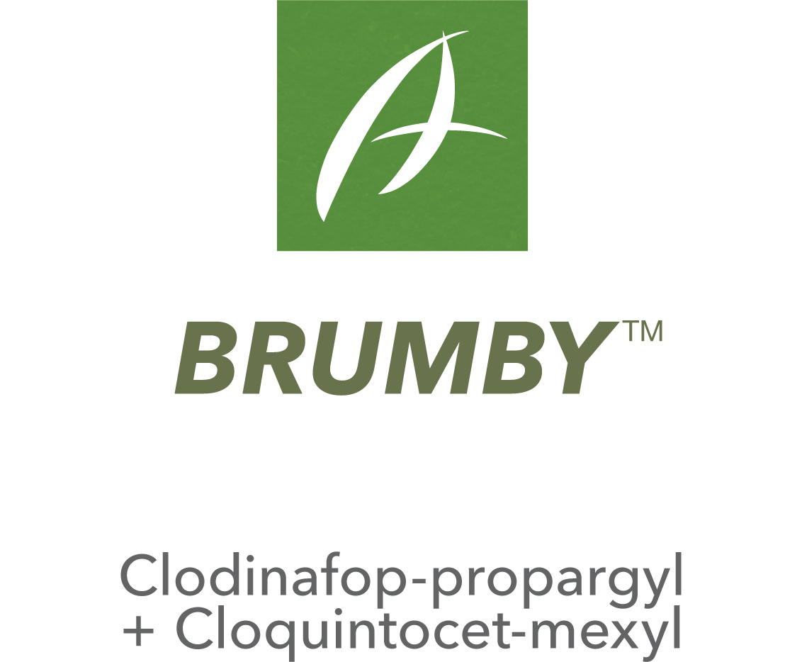 Brumby™