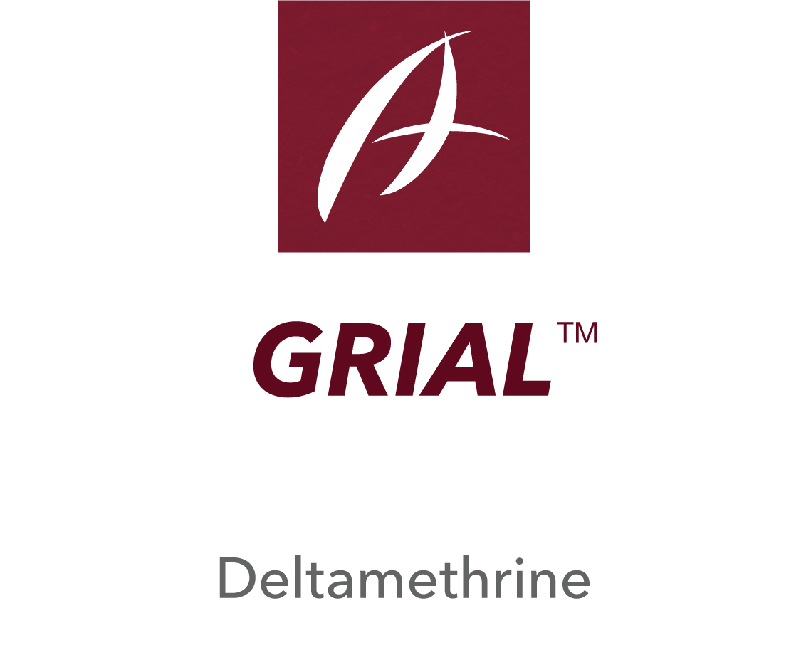 Grial™