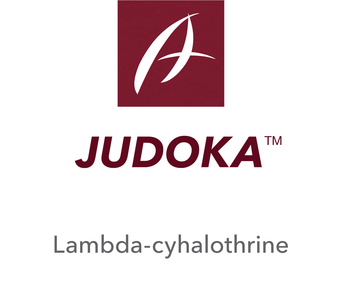 Judoka™