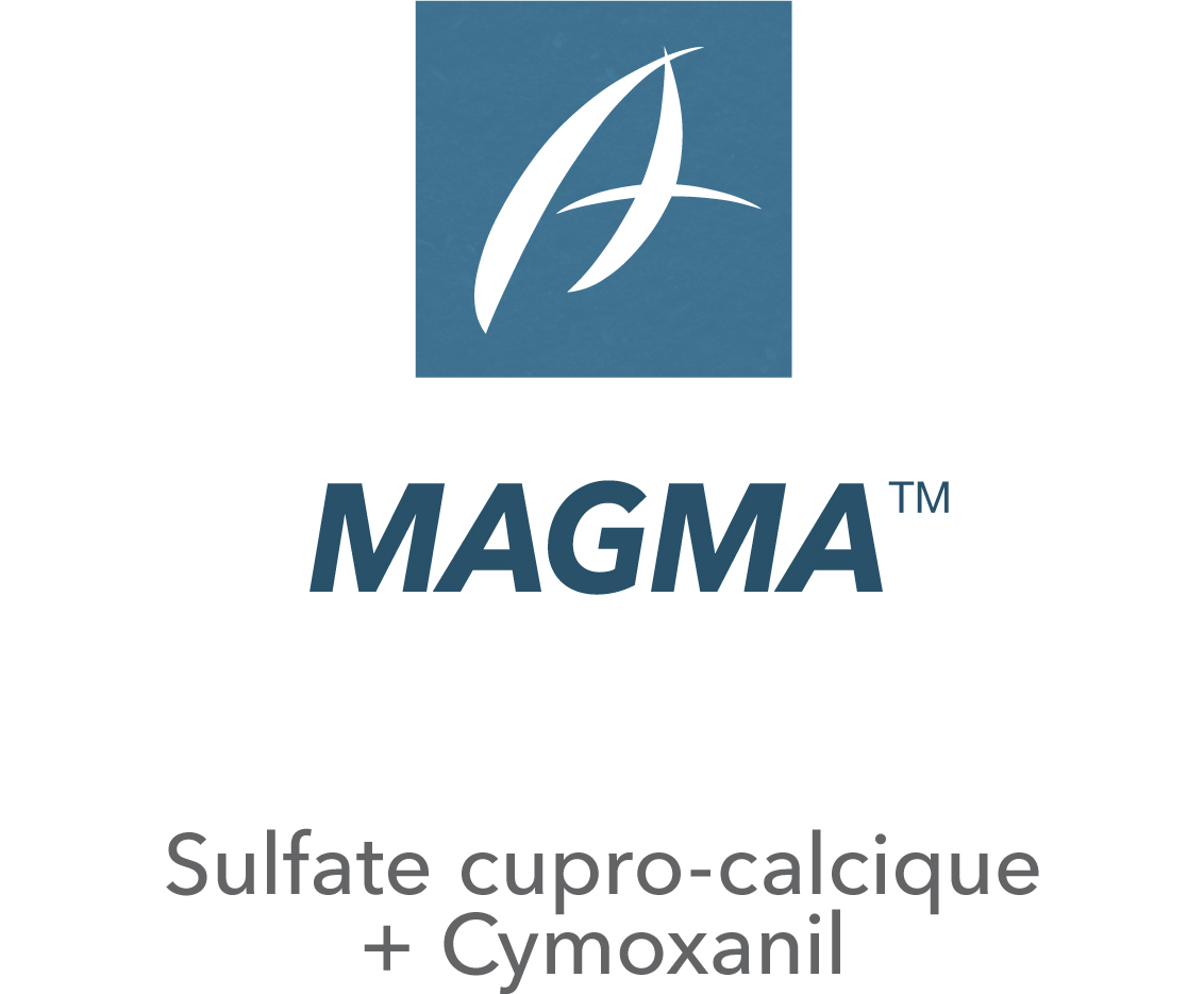 Magma™