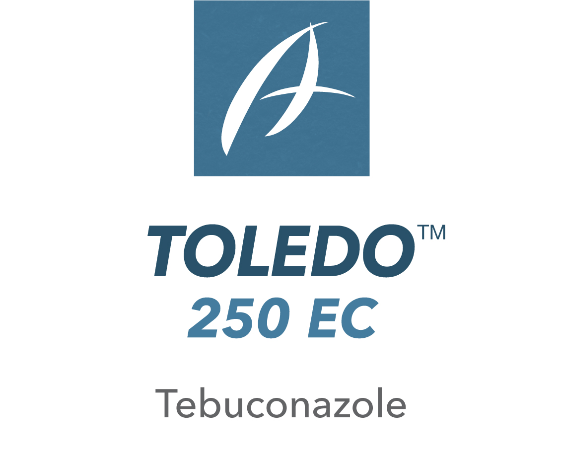 Toledo™ 250 EC