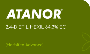 ATANOR  |  2,4-D ETIL HEXIL 64,3% EC  |  (Herbifen Advance)