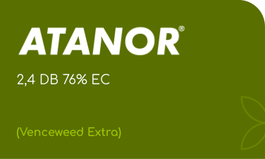 ATANOR | 2,4 DB 76% EC | (Venceweed Extra)