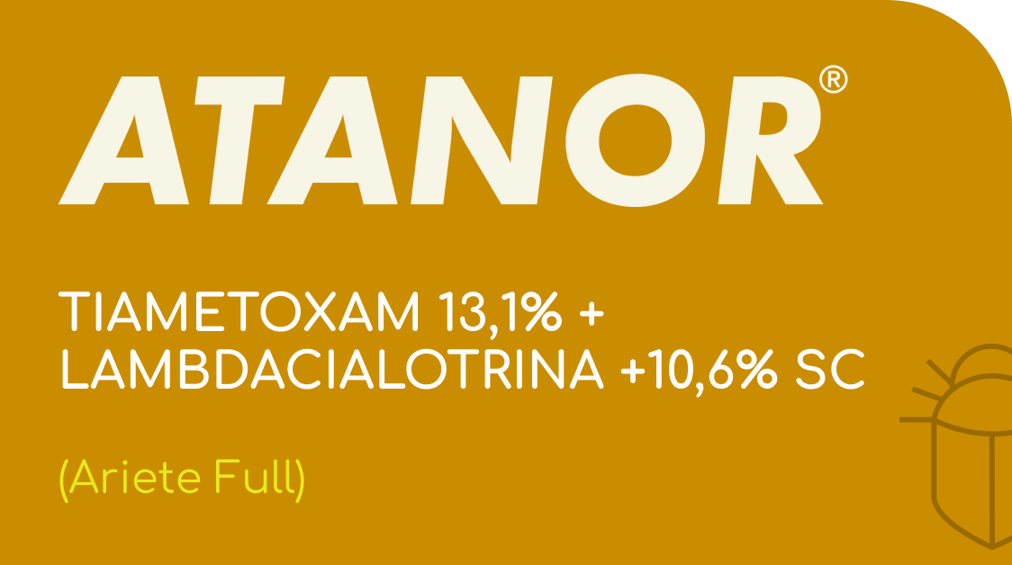 ATANOR | TIAMETOXAM 13,1% + LAMBDACIALOTRINA +10,6% SC  | (Ariete Full)