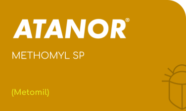 ATANOR | METHOMYL SP | (Metomil)