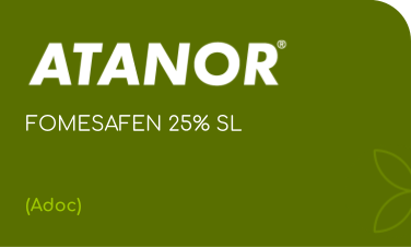 ATANOR | FOMESAFEN 25% SL | (Adoc)