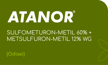 ATANOR | SULFOMETURON-METIL 60% + METSULFURON-METIL 12% WG | (Odisei)