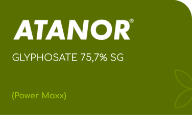 ATANOR | GLYPHOSATE 75.7% EA SG | (Power Maxx)