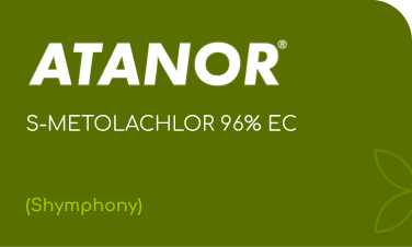 ATANOR | S-METOLACHLOR 96% EC | (Symphony)