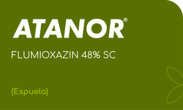 ATANOR | FLUMIOXAZIN 48% | (Espuela)