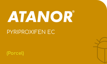 ATANOR | PYRIPROXIFEN EC | (Porcel)