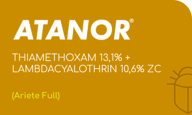 ATANOR |THIAMETHOXAM 13,1% + LAMBDACYALOTHRIN 10,6% SC | (Ariete Full)