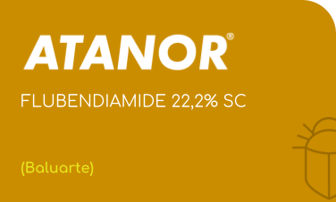 ATANOR | FLUBENDIAMIDE 22,2% | (Baluarte)