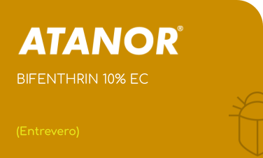 ATANOR | BIFENTRHIN 10% EC | (Entrevero)