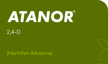 ATANOR  |  2,4-D |  (Herbifen Advance)