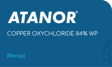 ATANOR | COPPER OXYCHLORIDE 84% WP | (Recop)