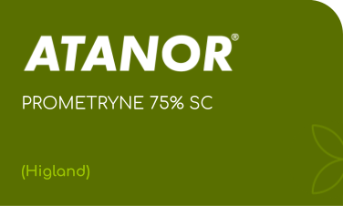 ATANOR | PROMETHRIN 75% | (Higland)