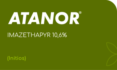 ATANOR | IMAZETHAPYR 10,6% | (Initios)