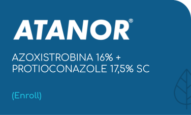 ATANOR | AZOXISTROBINA 16% + PROTIOCONAZOLE 17,5% SC | (Enroll)