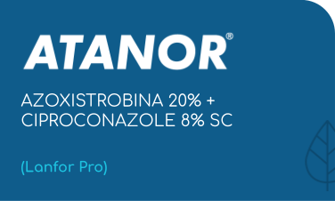 ATANOR | AZOXISTROBINA 20% + CIPROCONAZOLE 8% SC | (Lanfor Pro)