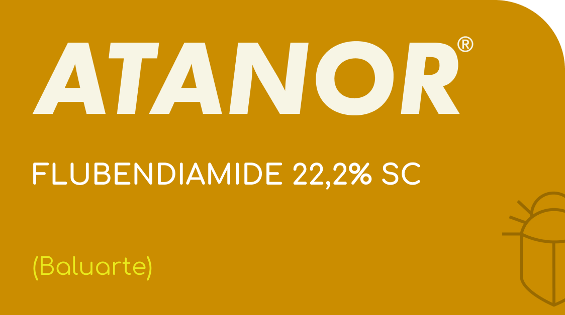 ATANOR | FLUBENDIAMIDE 22,2% SC | (Baluarte)