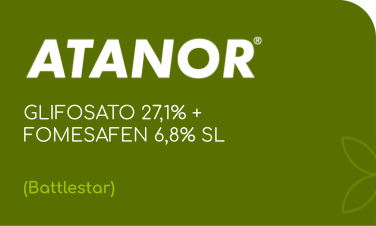 ATANOR | GLIFOSATO 27,1% + FOMESAFEN 6,8% SL | (Battlestar)