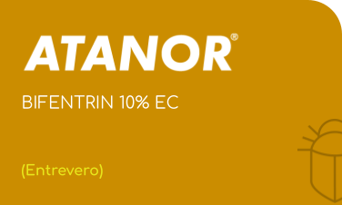 ATANOR | BIFENTRIN 10% EC | (Entrevero)