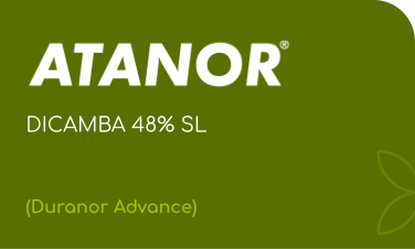 ATANOR  |  DICAMBA 48% SL  |  (Duranor Advance)