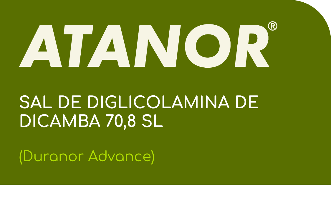 ATANOR  |  SAL DE DIGLICOLAMINA DE DICAMBA 70,8 SL  |  (Duranor Advance)