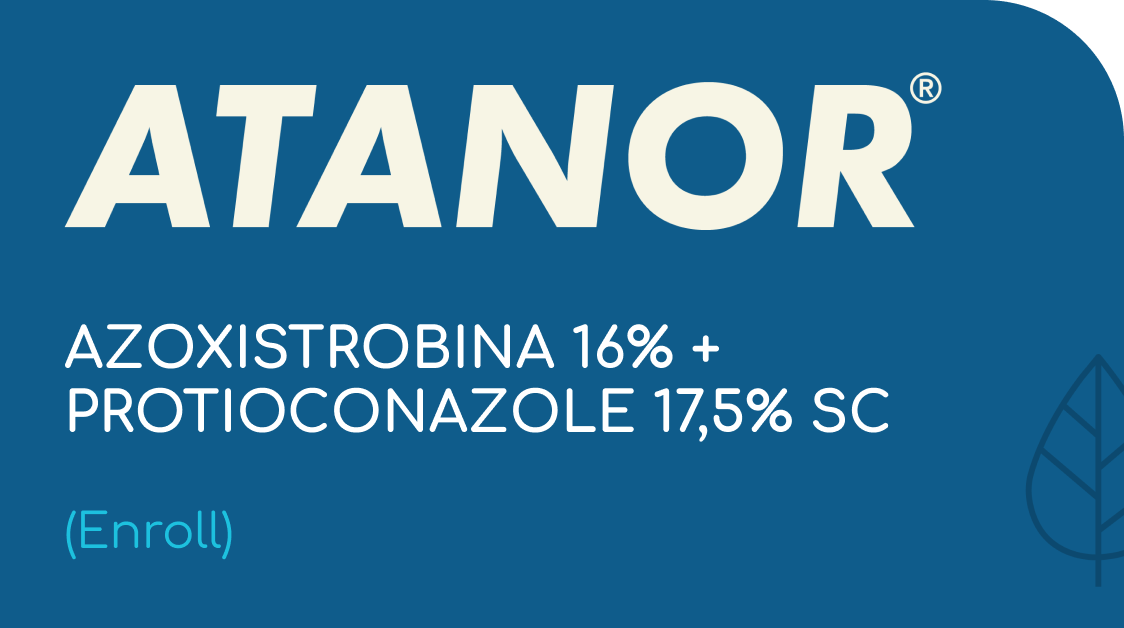 ATANOR | AZOXISTROBINA 16% + PROTIOCONAZOLE 17,5% SC | (Enroll)