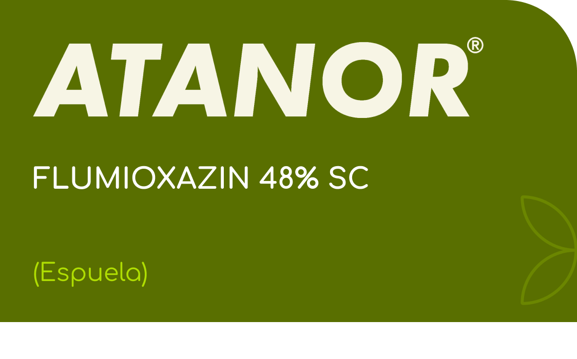 ATANOR | FLUMIOXAZIN 48% SC | (Espuela)