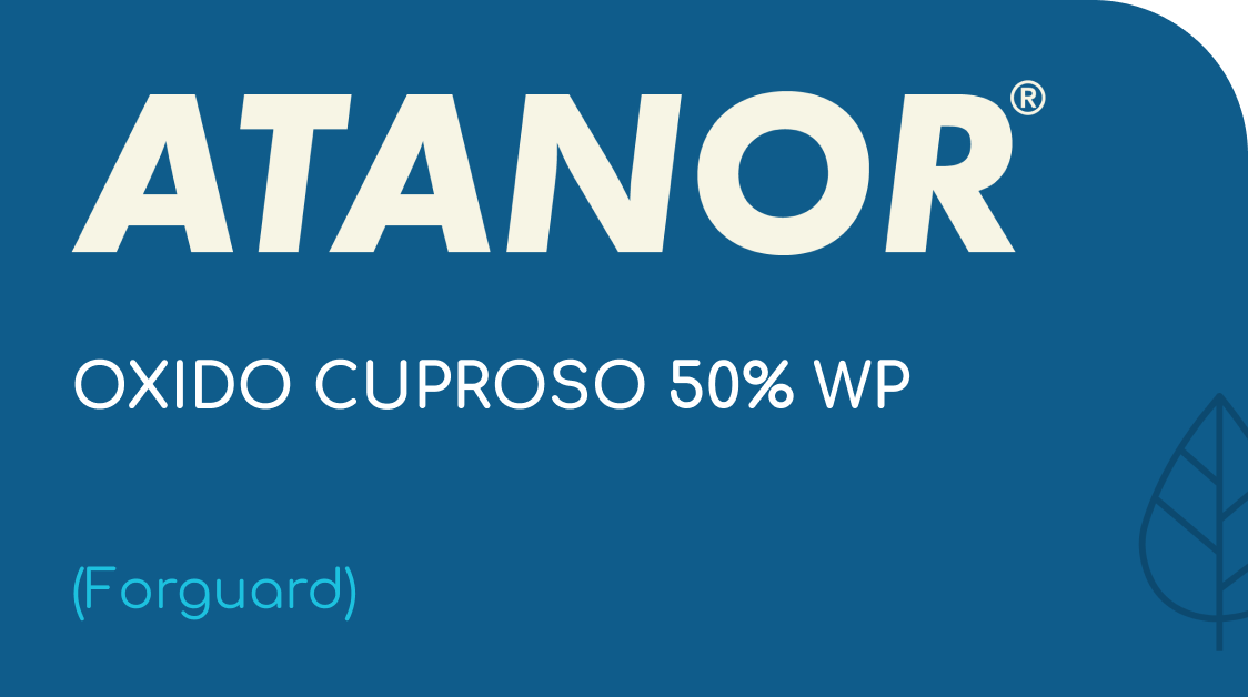 ATANOR | OXIDO CUPROSO 50% WP | (Forguard)