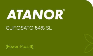 ATANOR | GLIFOSATO 54% SL | (Power Plus II)