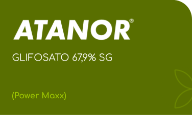 ATANOR | GLIFOSATO 67,9% SG | (Power Maxx)