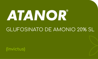 ATANOR | GLUFOSINATO DE AMONIO 20% SL |  (Invictus)