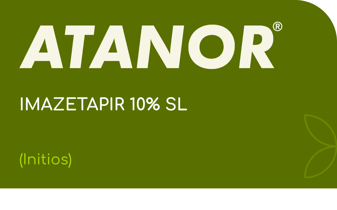 ATANOR | IMAZETAPIR 10% SL | (Initios)