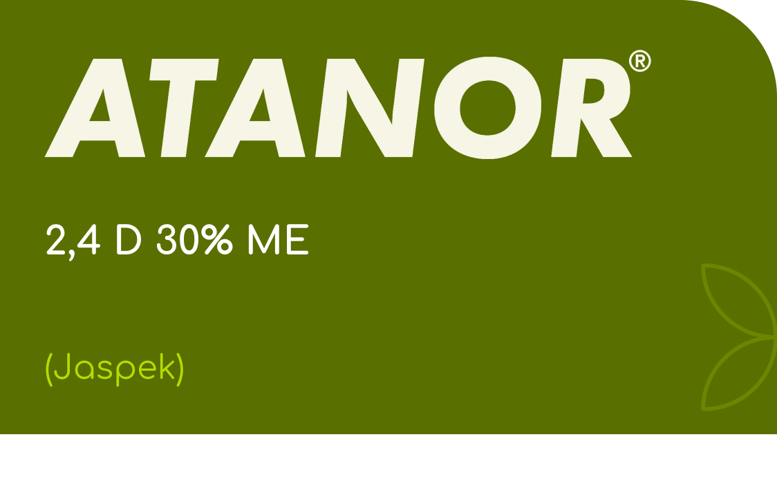 ATANOR  |  2,4 D 30% ME |  (Jaspek)