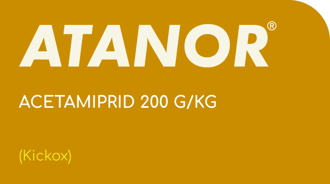 ATANOR  |  ACETAMIPRID 200 G/KG  |  (Kickox)