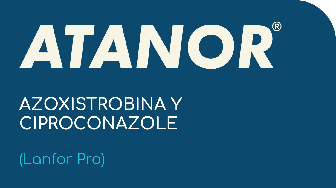 ATANOR  |  AZOXISTROBINA Y CIPROCONAZOLE  |  (Lanfor Pro)