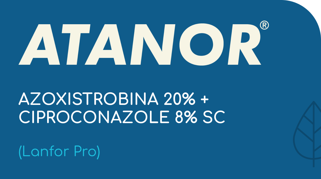 ATANOR | AZOXISTROBINA 20% + CIPROCONAZOLE 8% SC | (Lanfor Pro)