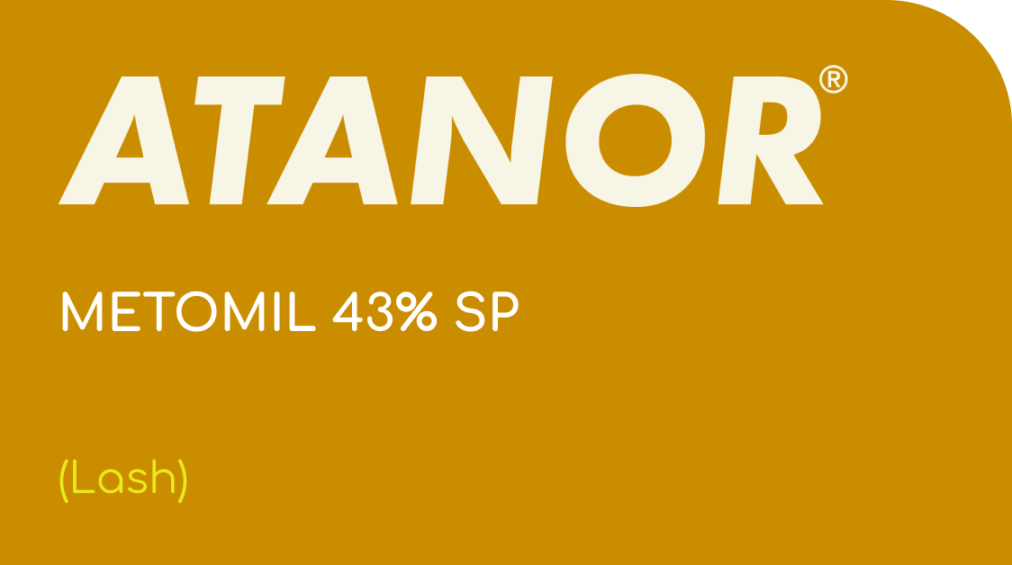 ATANOR | METOMIL 43% SP | (Lash)