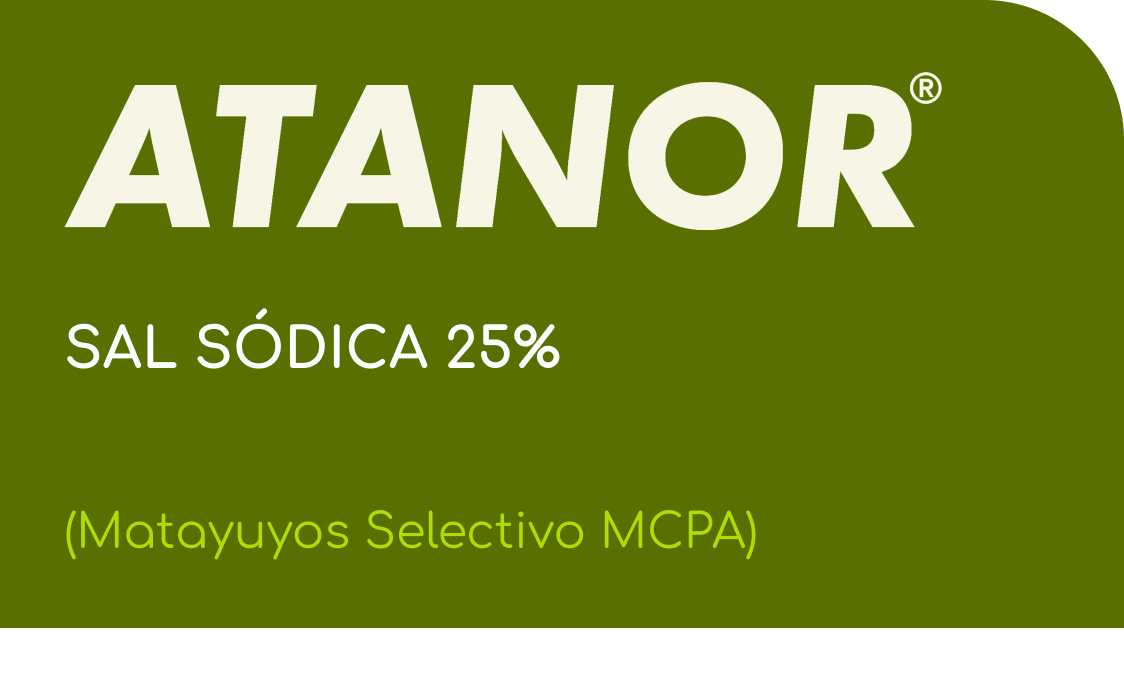 ATANOR  |  SAL SÓDICA 25%  |  (Matayuyos Selectivo MCPA)