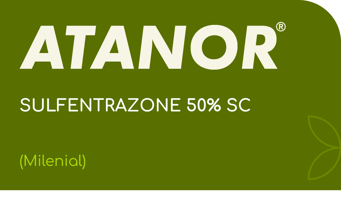 ATANOR |  SULFENTRAZONE 50% SC  | (Milenial)