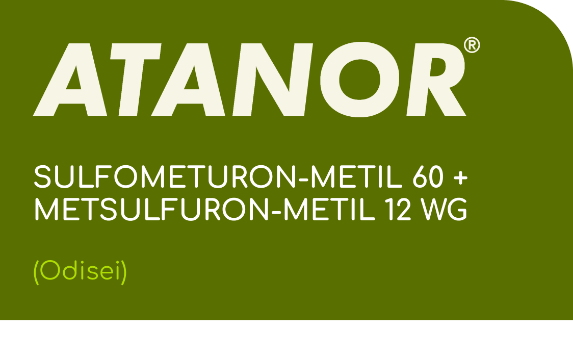 ATANOR  |  SULFOMETURON-METIL 60 + METSULFURON-METIL 12 WG  |  (Odisei)