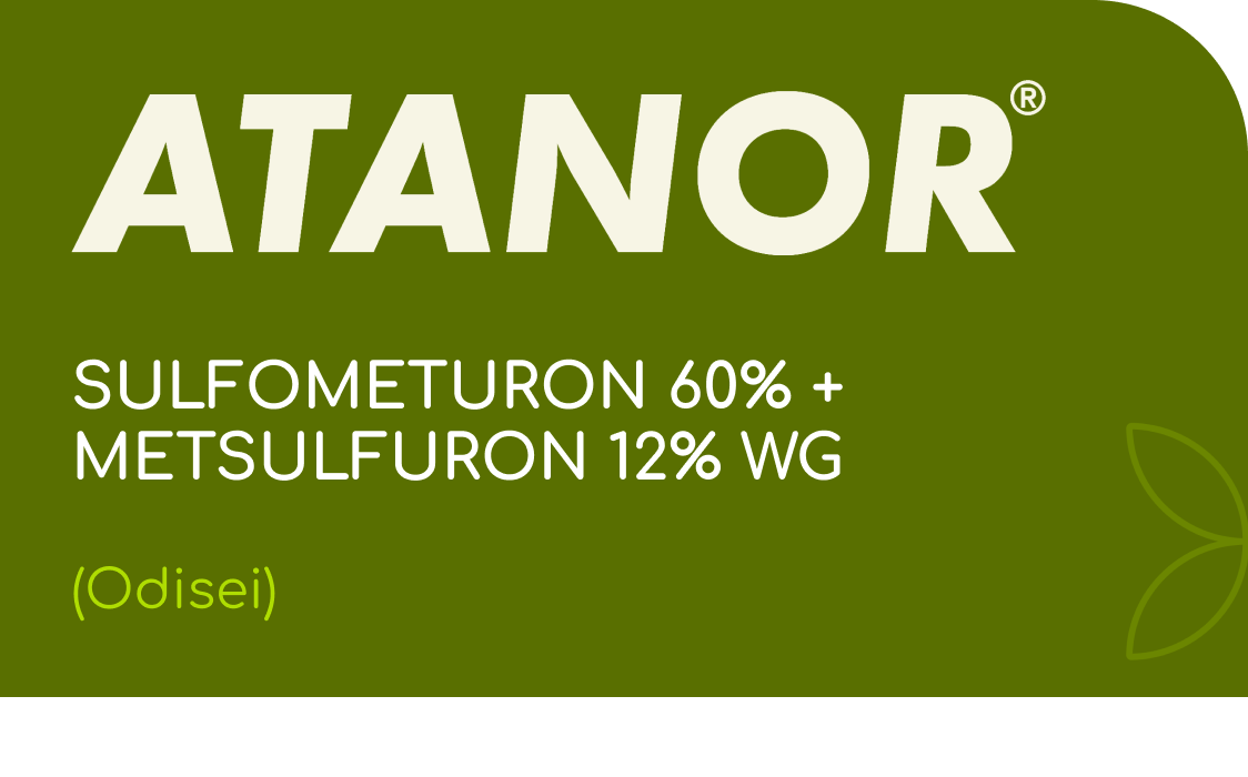 ATANOR | SULFOMETURON 60% + METSULFURON 12% WG | (Odisei)