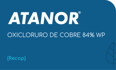 ATANOR | OXICLORURO DE COBRE 84% WP | (Recop)