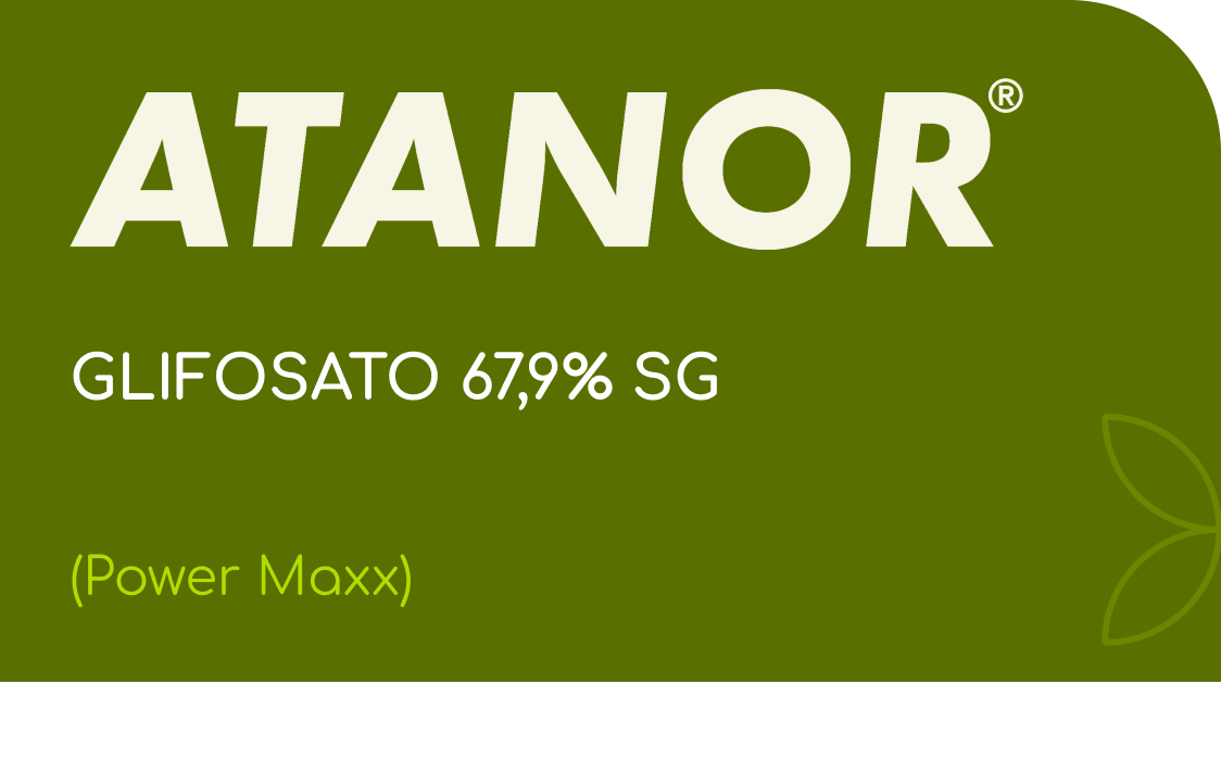 ATANOR | GLIFOSATO 67,9% SG | (Power Maxx)