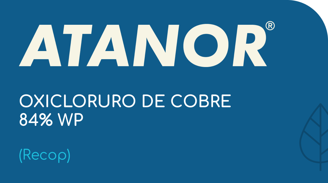 ATANOR | OXICLORURO DE COBRE 84% WP | (Recop)