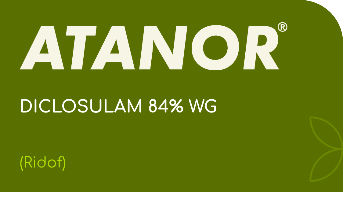 ATANOR | DICLOSULAM 84% WG | (Ridof)